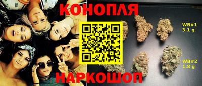 амф Гусиноозёрск