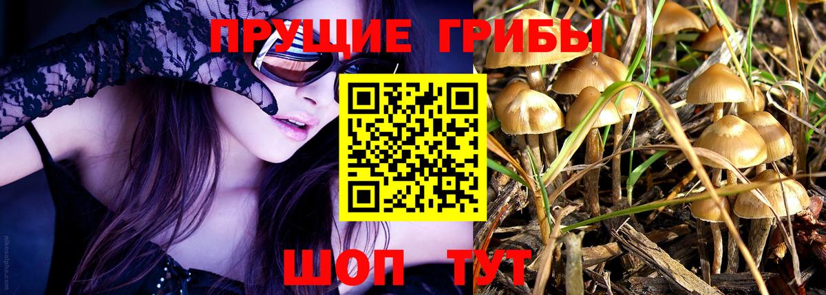 Псилоцибиновые грибы мухоморы  Вход с VPN  купить наркоту  Гусиноозёрск 